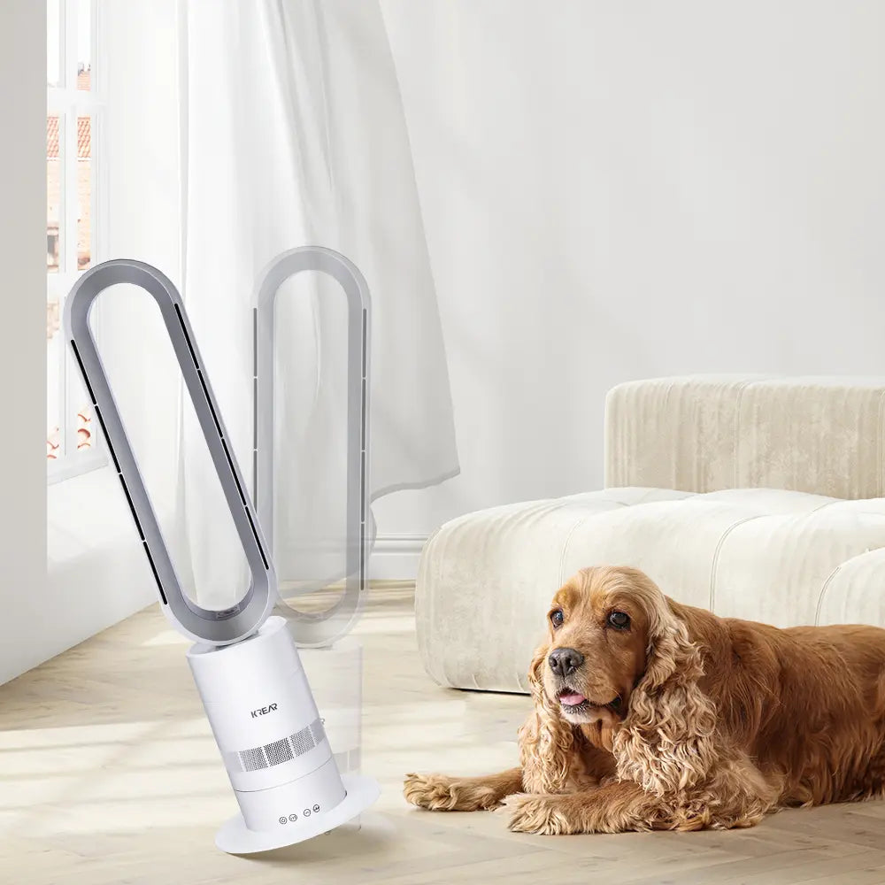 Westerlies 2-in-1 Fan providing air purification and cooling in a stylish home