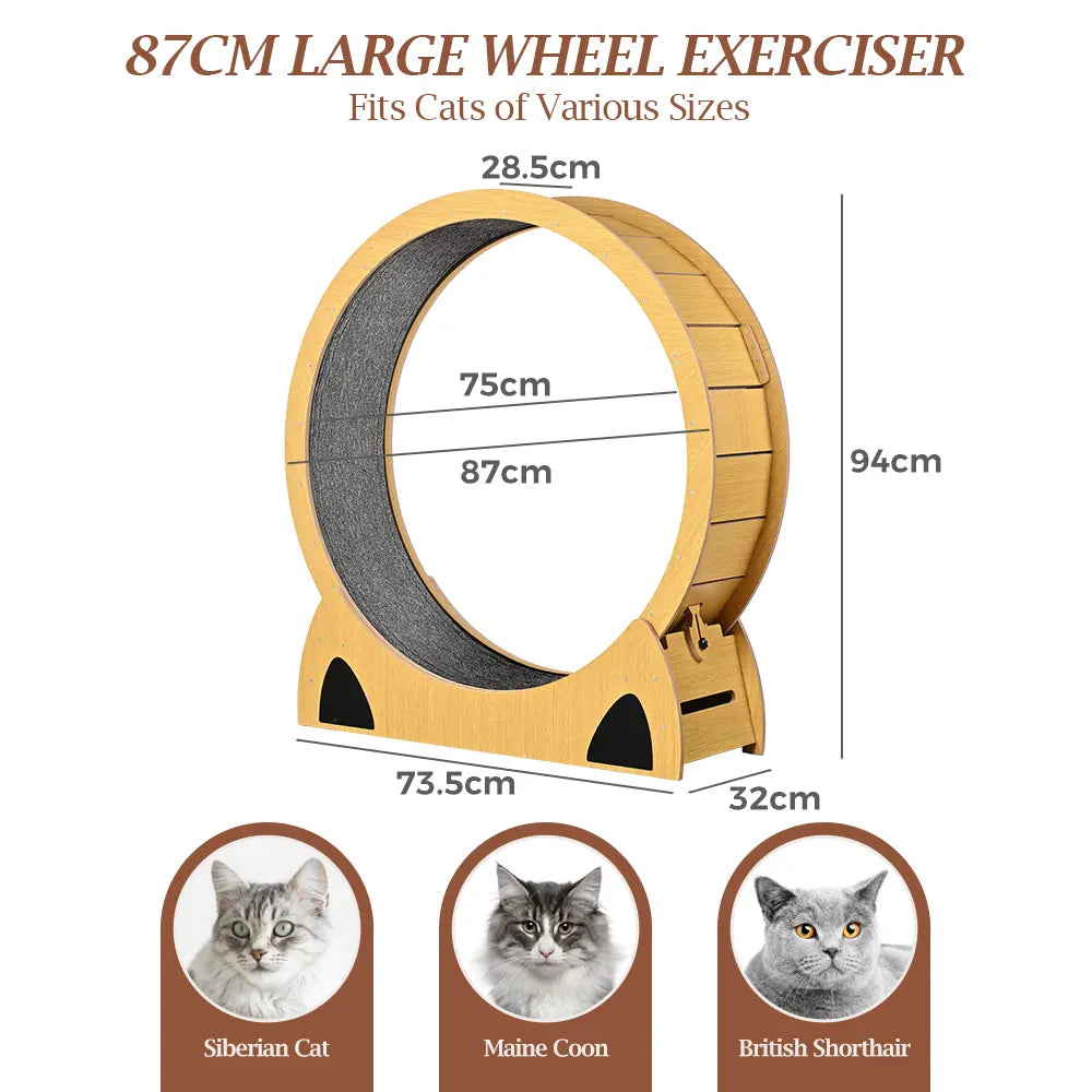 Aron Cat Exercise Wheel