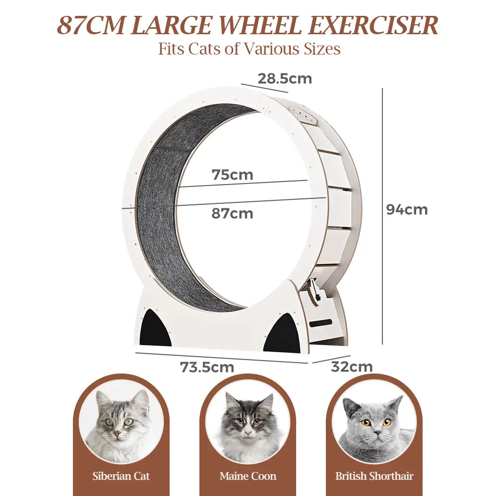 Aron Cat Exercise Wheel