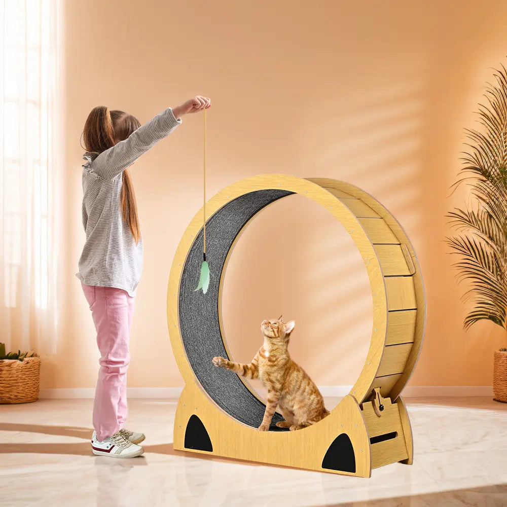 Aron Cat Exercise Wheel