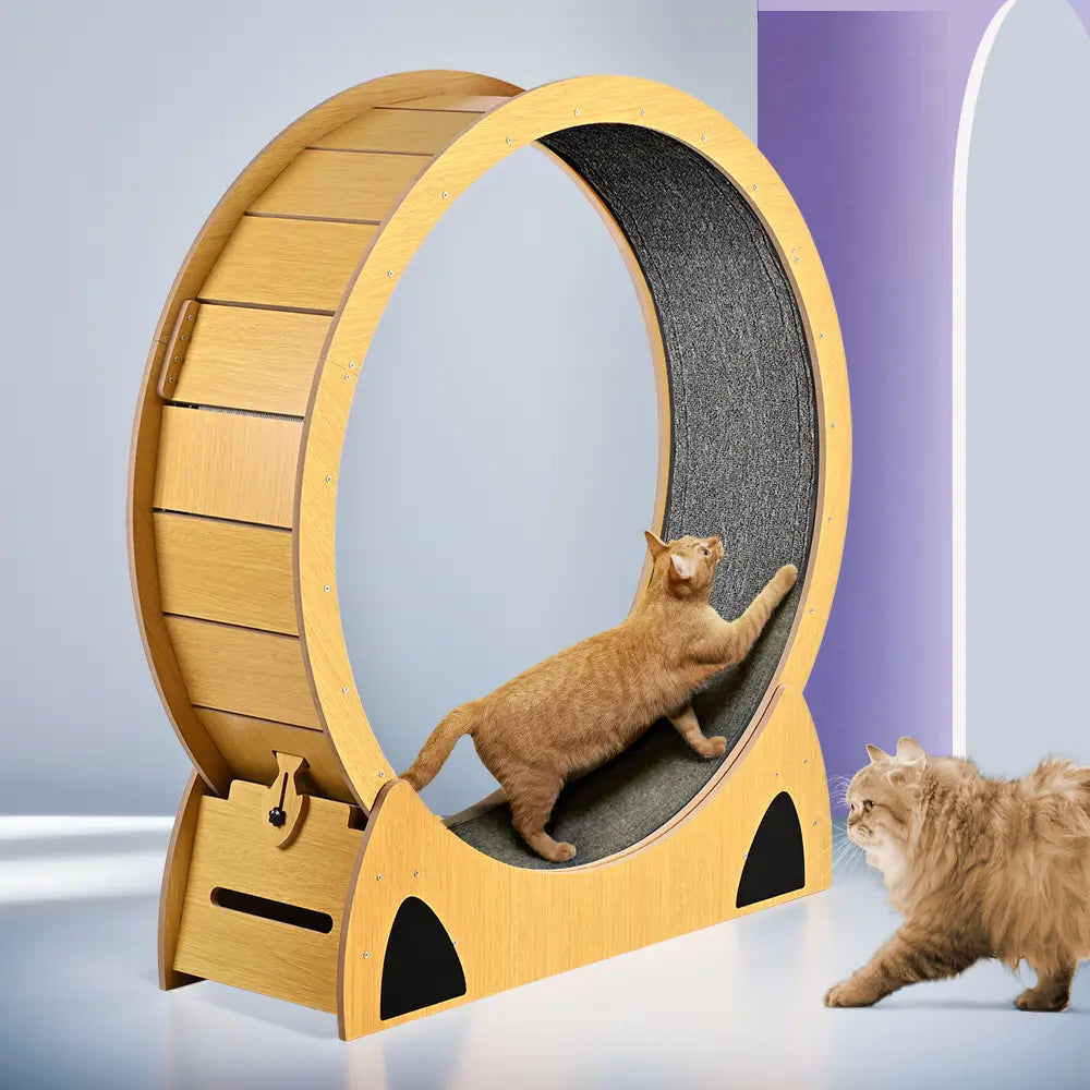 Aron Cat Exercise Wheel