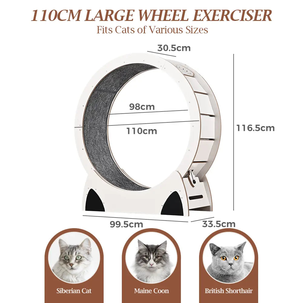 Aron Cat Exercise Wheel